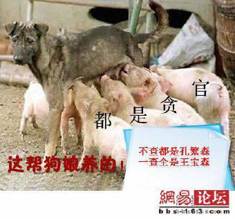 陈:纪灵,张勋,陈横,韩暹,蒋干,雷薄,袁胤,严政,虞翻,张英,赵弘.色桔大全情趣用品成人图片