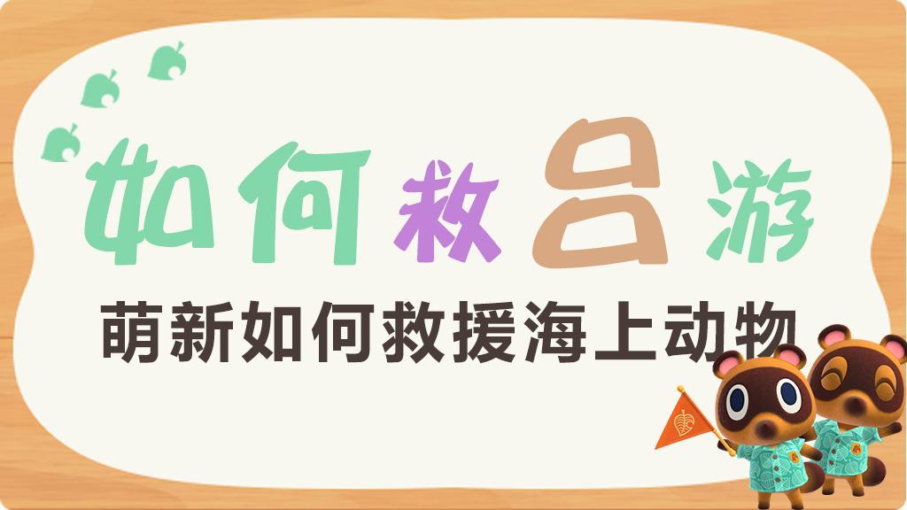 动物森友会海鸥吕游如何救助通讯装置零件怎么获取