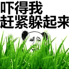 QQ图片20200331225758.png